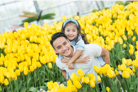 Du kh&aacute;ch m&ecirc; mẩn lạc bước trong 100.000 đ&oacute;a hoa tuylip rực rỡ.
