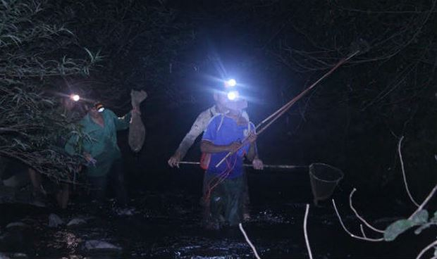 Nghề tay tr&aacute;i săn ếch đ&aacute; gi&uacute;p nhiều người d&acirc;n tăng thu nhập.