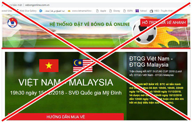 Trang website giả mạo. Ảnh: VTV