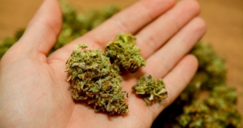 Tâm sự của shipper vận chuyển cỏ mỹ