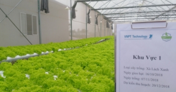 Cận cảnh “nông trại thông minh” trên Khu công nghệ cao Hòa Lạc