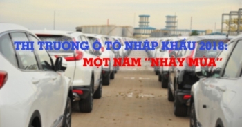 Thị trường ô tô nhập khẩu 2018: Một năm 