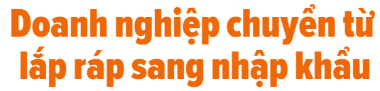 Thị trường &ocirc; t&ocirc; nhập khẩu 2018: Một năm 'nhảy m&uacute;a'