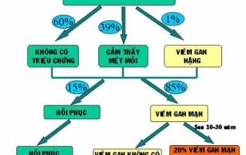 Quan hệ đồng giới nam dễ lây nhiễm viêm gan C