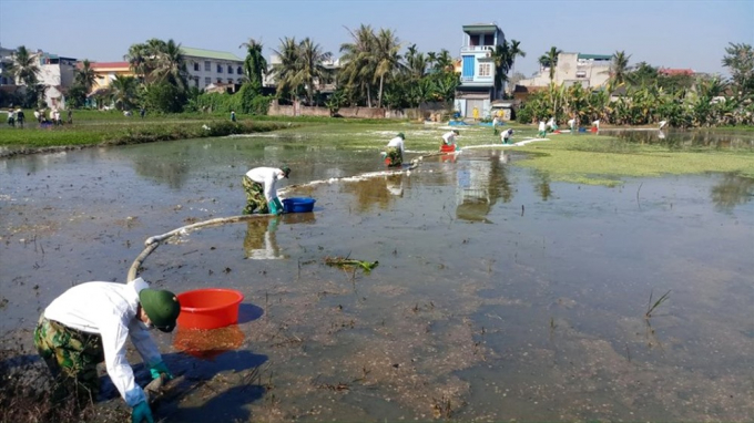 &nbsp;C&aacute;c c&ocirc;ng nh&acirc;n d&ugrave;ng phao thấm dầu để xử l&yacute; vết dầu loang tr&ecirc;n c&aacute;nh đồng. Ảnh: Qu&aacute;ch Du.