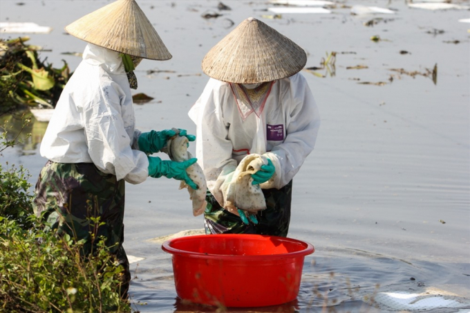 Huy động trăm người khắc phục sự cố tr&agrave;n dầu tại Thanh H&oacute;a