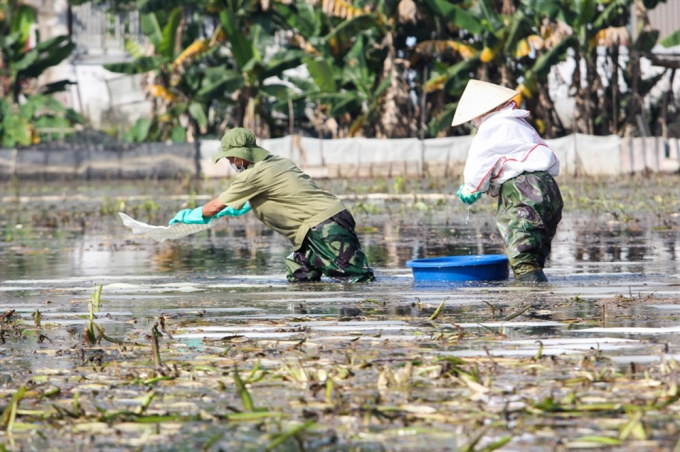 Huy động trăm người khắc phục sự cố tr&agrave;n dầu tại Thanh H&oacute;a