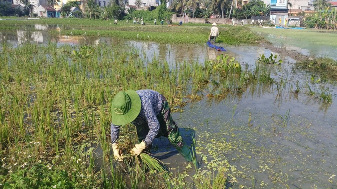 Huy động trăm người khắc phục sự cố tr&agrave;n dầu tại Thanh H&oacute;a