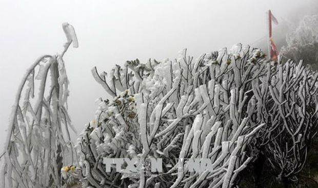 Cảnh băng gi&aacute; tại Sa Pa (L&agrave;o Cai)