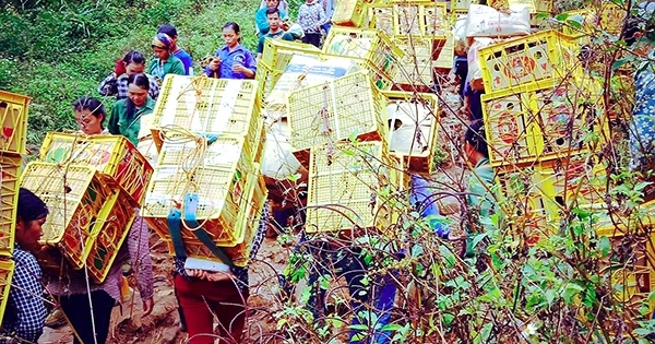 "Thiên đường" hàng lậu Tân Thanh: Những đồng tiền có vị mặn chát