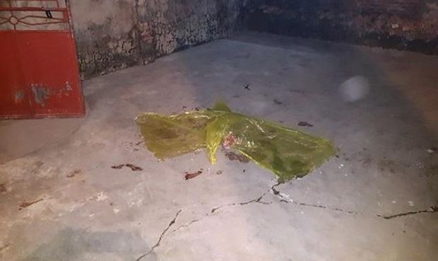 Nạn nh&acirc;n trong vụ &aacute;n l&agrave; Phan Thị Nguyệt, SN 2002, con g&aacute;i ruột của Phan Văn Sang.