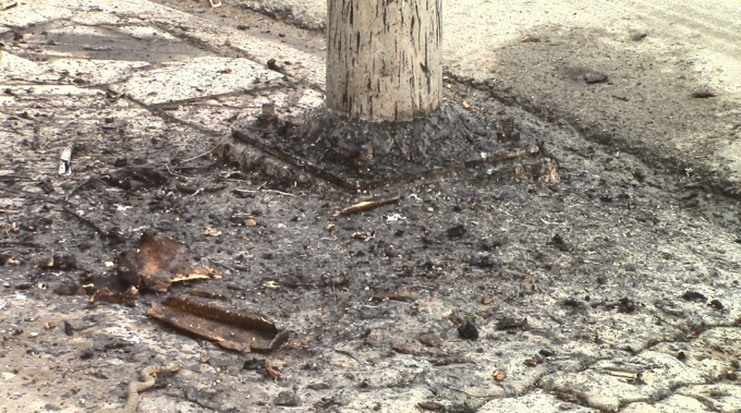 Lực lượng cảnh s&aacute;t PCCC đ&atilde; dập tắt đ&aacute;m ch&aacute;y