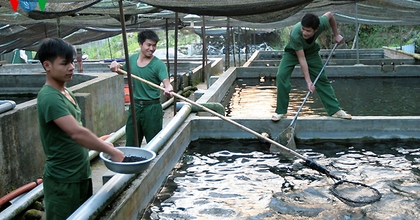 Kết hợp kinh tế - xã hội với quốc phòng