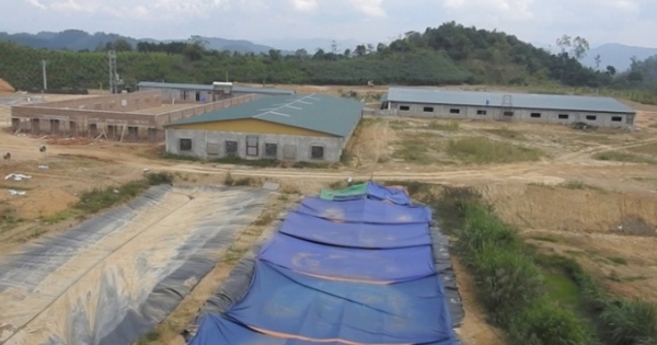 Trang trại lợn của Công ty Nam Huế giải quyết dứt điểm ô nhiễm môi trường