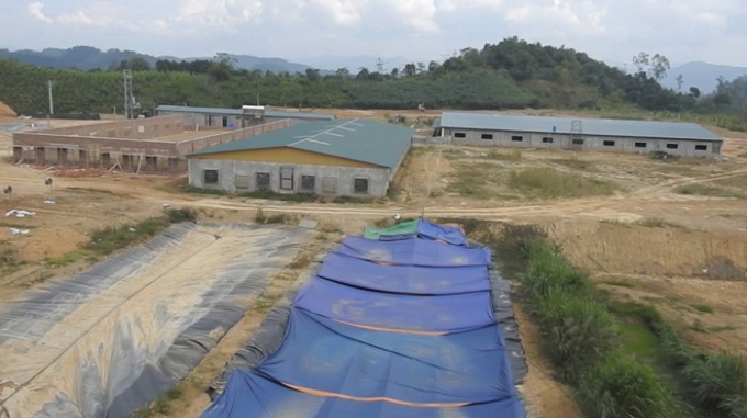 Trang trại lợn của C&ocirc;ng ty Nam Huế.