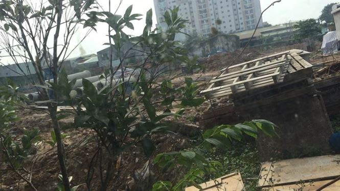 Đ&atilde; mở b&aacute;n lần 6 nhưng kh&ocirc;ng hiểu v&igrave; sao một dự &aacute;n thiếu c&aacute;c giấy ph&eacute;p v&agrave; mở b&aacute;n sai quy định lại qua mặt được ch&iacute;nh quyền địa phương nới đ&acirc;y.