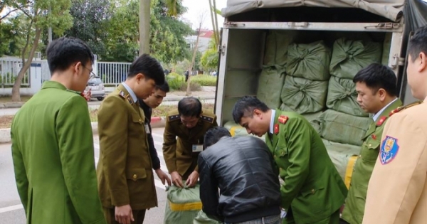 Hà Nội: Bắt giữ đối tượng vận chuyển số lượng khủng nầm lợn bẩn