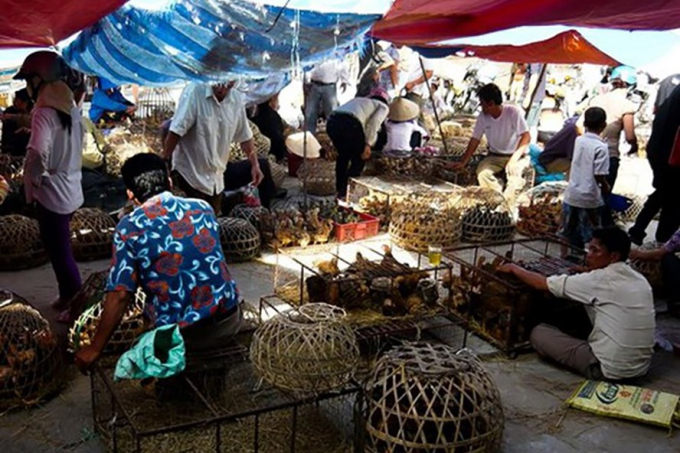 Một g&oacute;c tại điểm mua b&aacute;n gia cầm ở Hải Ph&ograve;ng. Ảnh: Kim Cương.