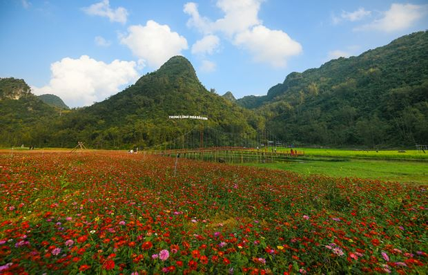 Thung lũng hoa Bắc Sơn nằm tại x&atilde; Trấn Y&ecirc;n, huyện Bắc Sơn, Lạng Sơn. Khu vực n&agrave;y mở cửa đ&oacute;n du kh&aacute;ch tham quan từ 15/10/2017 với gần 10 loại hoa được trồng tại đ&acirc;y.