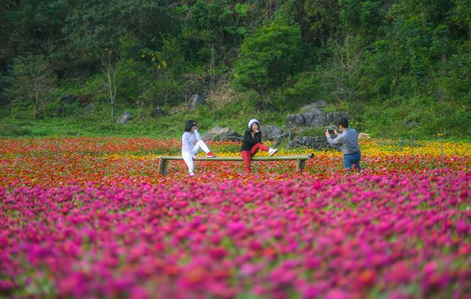 B&ecirc;n trong thung lũng hoa lớn nhất Việt Nam