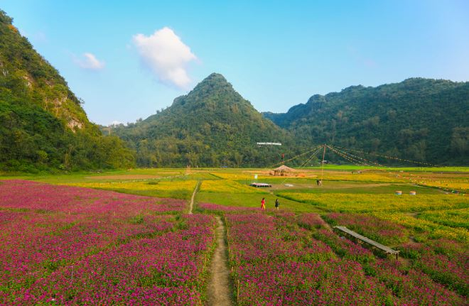 To&agrave;n cảnh thung lũng hoa Bắc Sơn nh&igrave;n từ căn ch&ograve;i cao khoảng 3 m dựng giữa thửa hoa c&uacute;c.