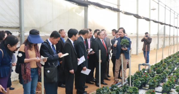 Hợp tác phát triển nông nghiệp giữa 3 nước Đông Dương