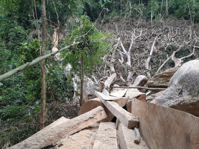 71BA0FEA-5A1C-46F6-8FDE-444EA115D4EB.