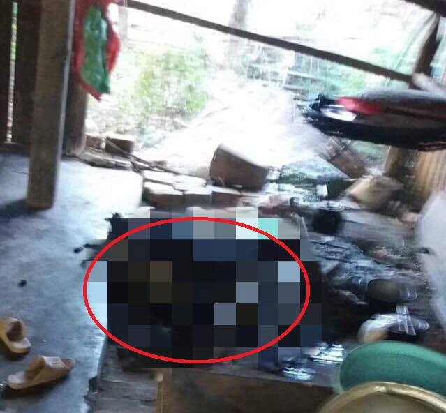 received_494176164527342.