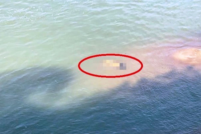 tu1563542796-5616-1563554498-width1111height625