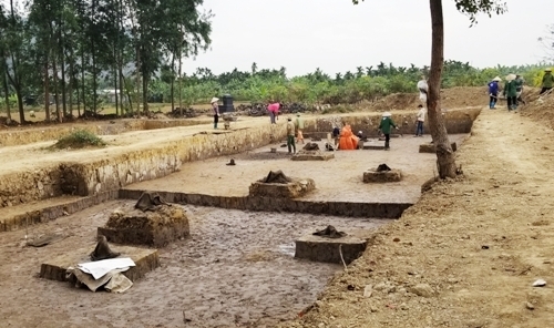 Phát hiện bãi cọc nhà Trần gần nghìn năm tuổi ở Hải Phòng