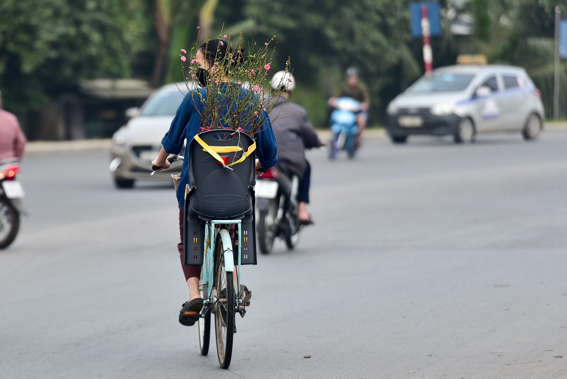 Đào xuống phố sớm, nhiều tuyến đường Hà Nội đã rộn ràng sắc xuân - 14