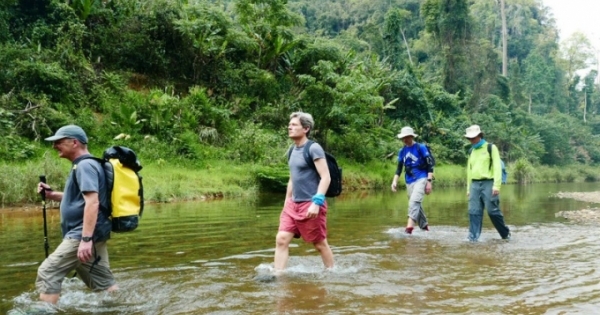 Đừng khư khư bảo tồn rừng