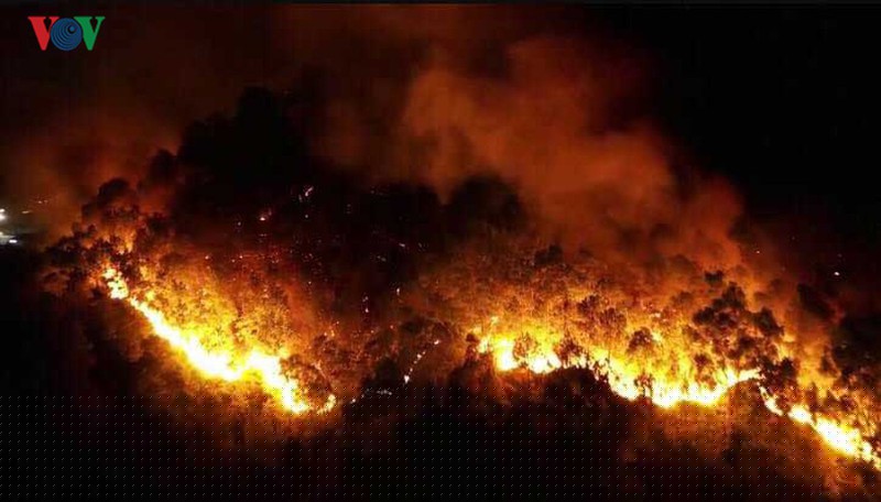 am anh nhung vu chay