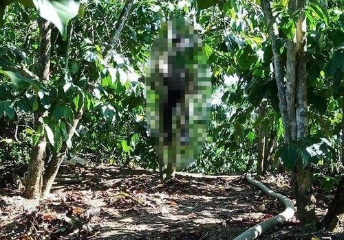 39d45da1aee147bf1ef0