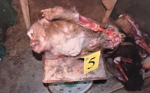 cedea5264866a138f877