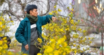 Tin kinh tế 6AM: Thưởng Tết 2020, người nhận 3,5 tỷ, người chỉ vài chục ngàn đồng