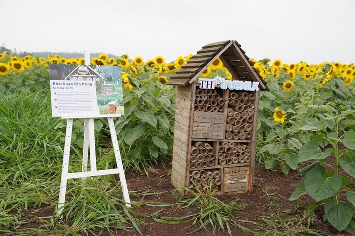 Mô hình “khách sạn côn trùng”, kêu gọi mọi người dân bảo vệ côn trùng, cân bằng sinh thái.