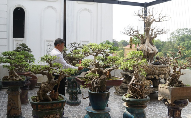 Khuôn viên nhỏ trên tầng ba nhà ông Bùi Đình Khoa (Long Biên, Hà Nội) có khoảng 30 cây bonsai các loại. Nổi bật nhất là tác phẩm