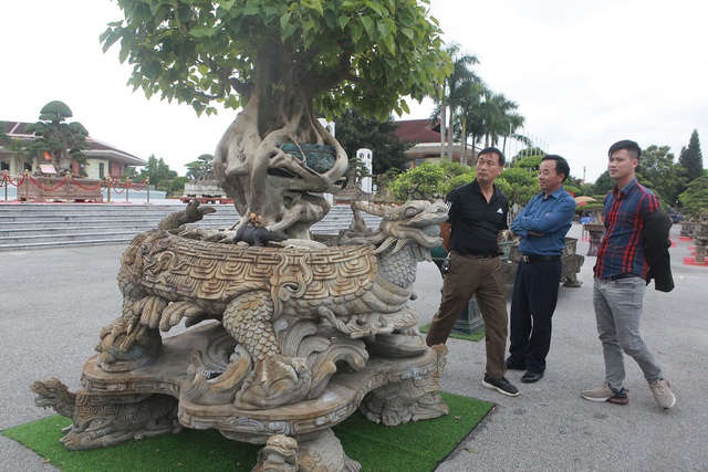 Tác phẩm mới được mang đi dự triển lãm cây cảnh Bắc Ninh 2020. Rất nhiều đại gia ngỏ ý mua nhưng ông Khoa không bán vì ông mua để chơi, ngắm mỗi ngày