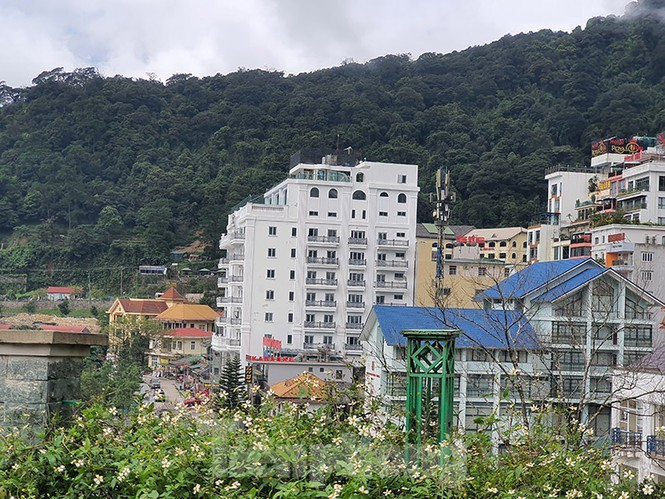 trat-tu-xay-dung-tamdao-vietnamnet