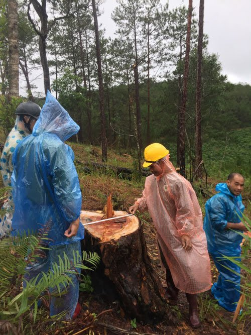 images2327527_hinh_2_31-1023