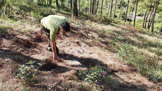 received_782026982380198.