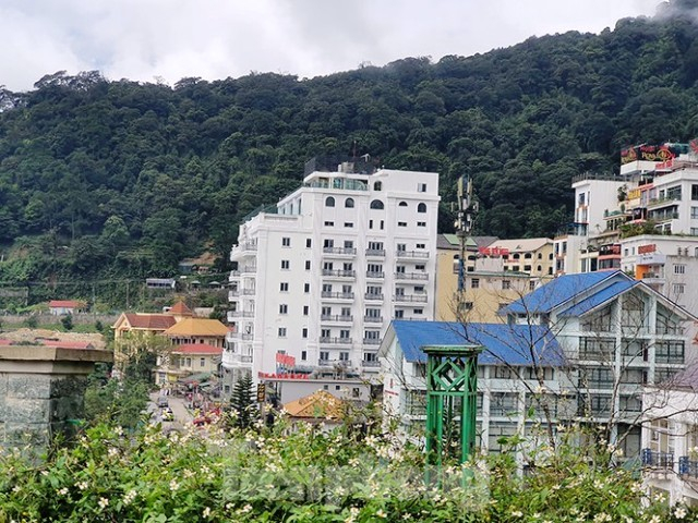 trat-tu-xay-dung-tamdao-vietnamnet