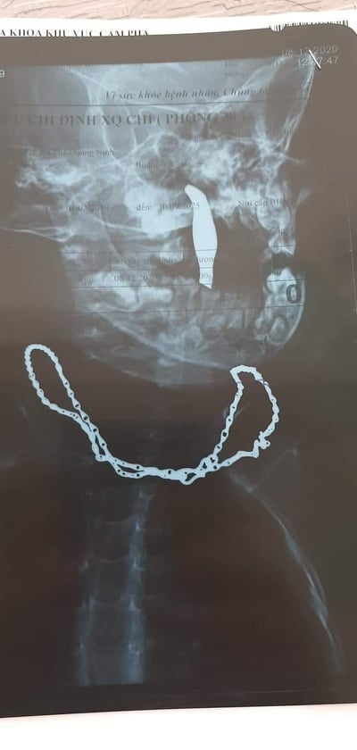 131309130_4059791657382089_7076063788121061688_n