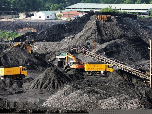 Ảnh minh họa. (Ảnh: Trọng Đạt/TTXVN)