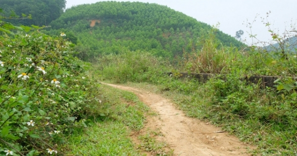 Thông tin mới nhất về người đàn ông bị cắt "của quý" trên đồi ở Thanh Hoá