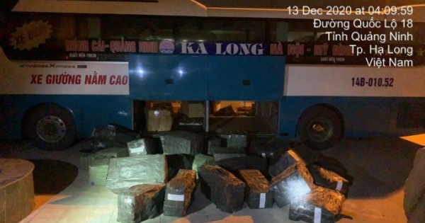 Quảng Ninh: Kiểm tra xe khách phát hiện tài xế chuyên chở hàng trăm kg lòng lợn sấy không rõ nguồn gốc