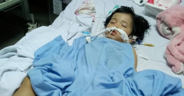 Quảng Ninh: Chủ cơ sở mầm non lĩnh án 12 tháng cải tạo không giam giữ