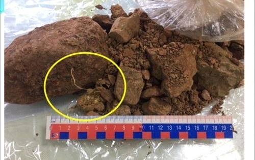 Vụ án buôn lậu 44.000 tấn quặng của Công ty Bảo Nguyên bị khởi tố