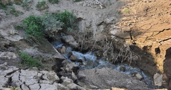 Xử phạt 255 triệu đồng đối với công ty xả nước thải ra môi trường